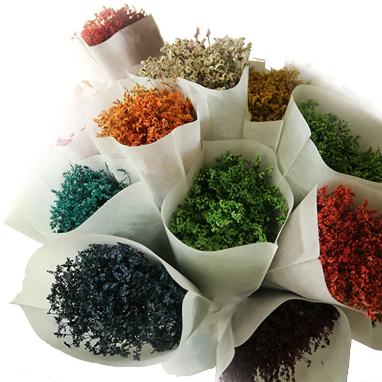 Good quality fresh preserved gypsophila baby breath flower for sale