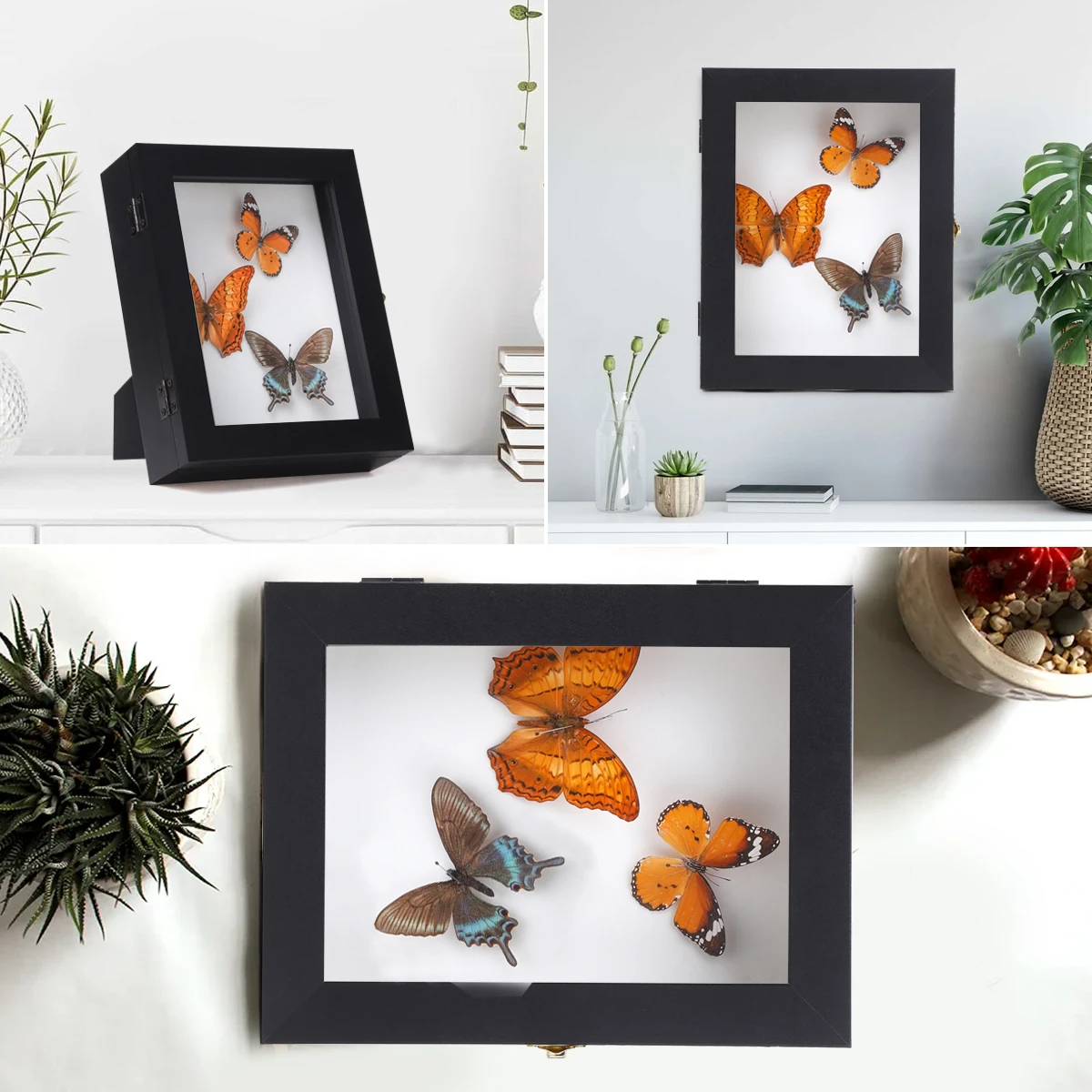 Deep Shadow Box Frame Dried Butterfly Wall Mounted Home Decor Wholesale Butterfly Shadow Box Frame 8*8 Butterfly Frame