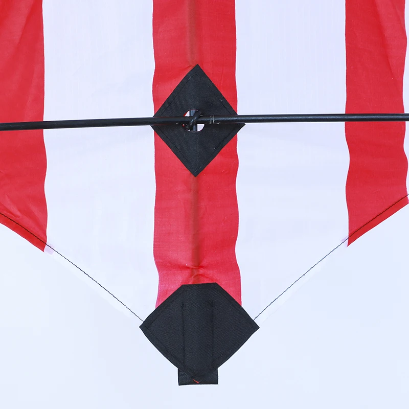 Wholesale animal shaped cartoon kites cheap price kid kites