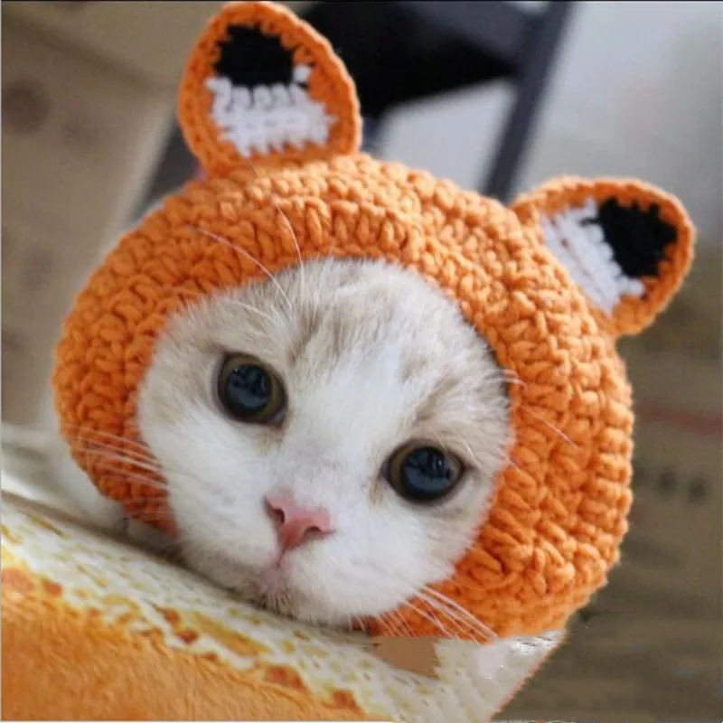 Factory Dog Cap Green Hot Sale Hand-knitted Frog Winter Crochet hat Cat Hat for Cute Dog Accessories of Small Dogs