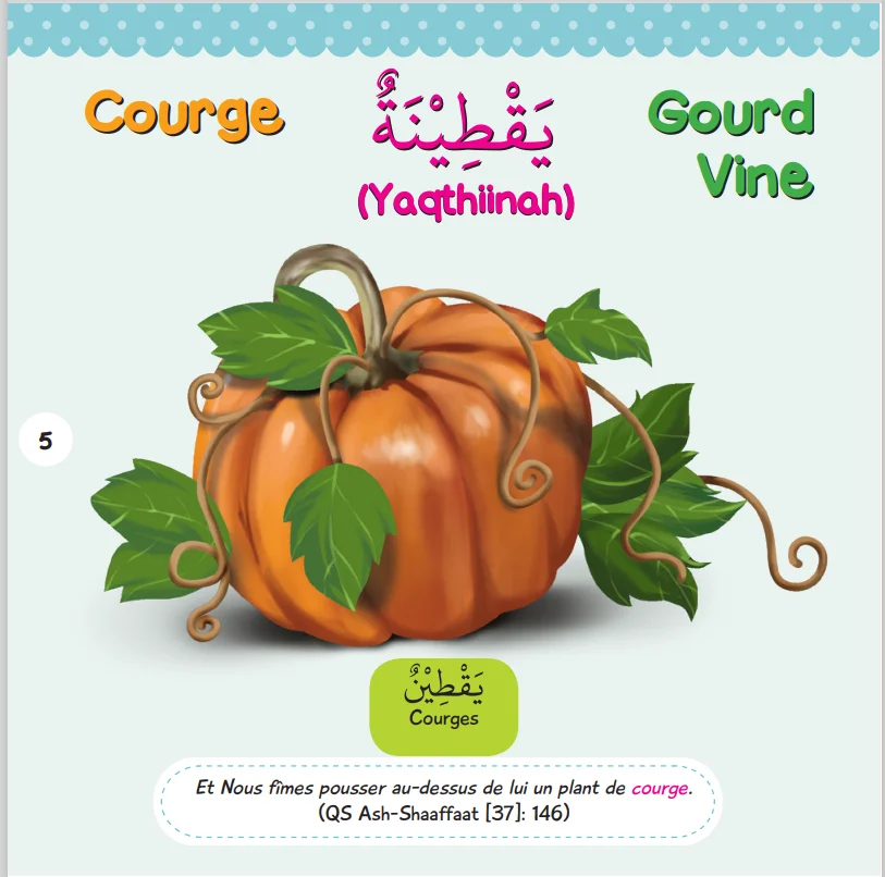 French Arabic English Muslim kids Al Quran words books