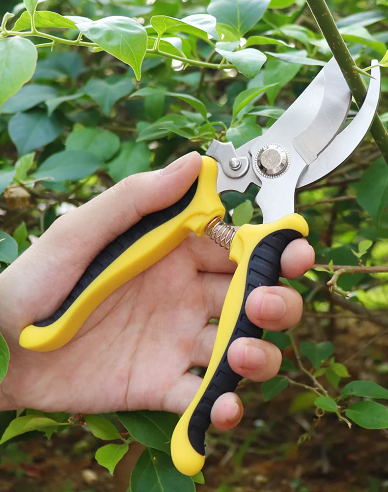 Sell well at wholesale Pruning Shear garden tool Stainless Steel Small Size Branch Shear Flower Cutting Garden scissors