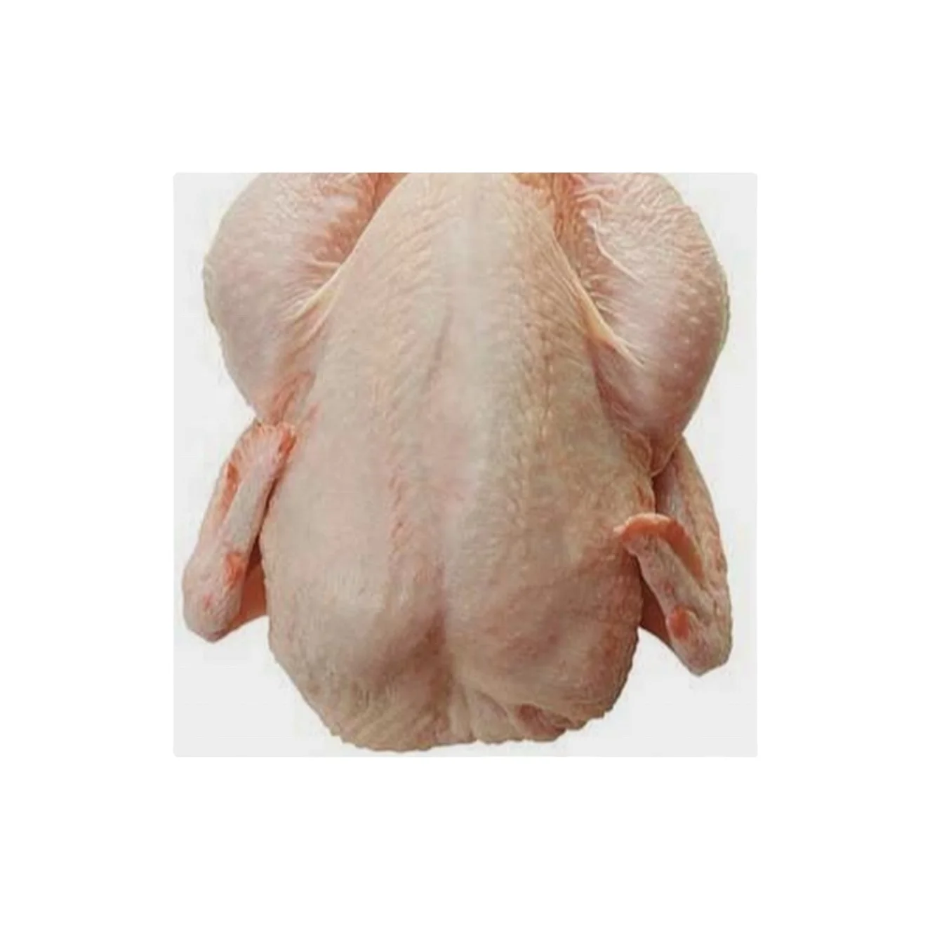 Wholesale custom private label Chicken breast fillet food 35cm carton 15kg 5days human consumption frozen chicken feet
