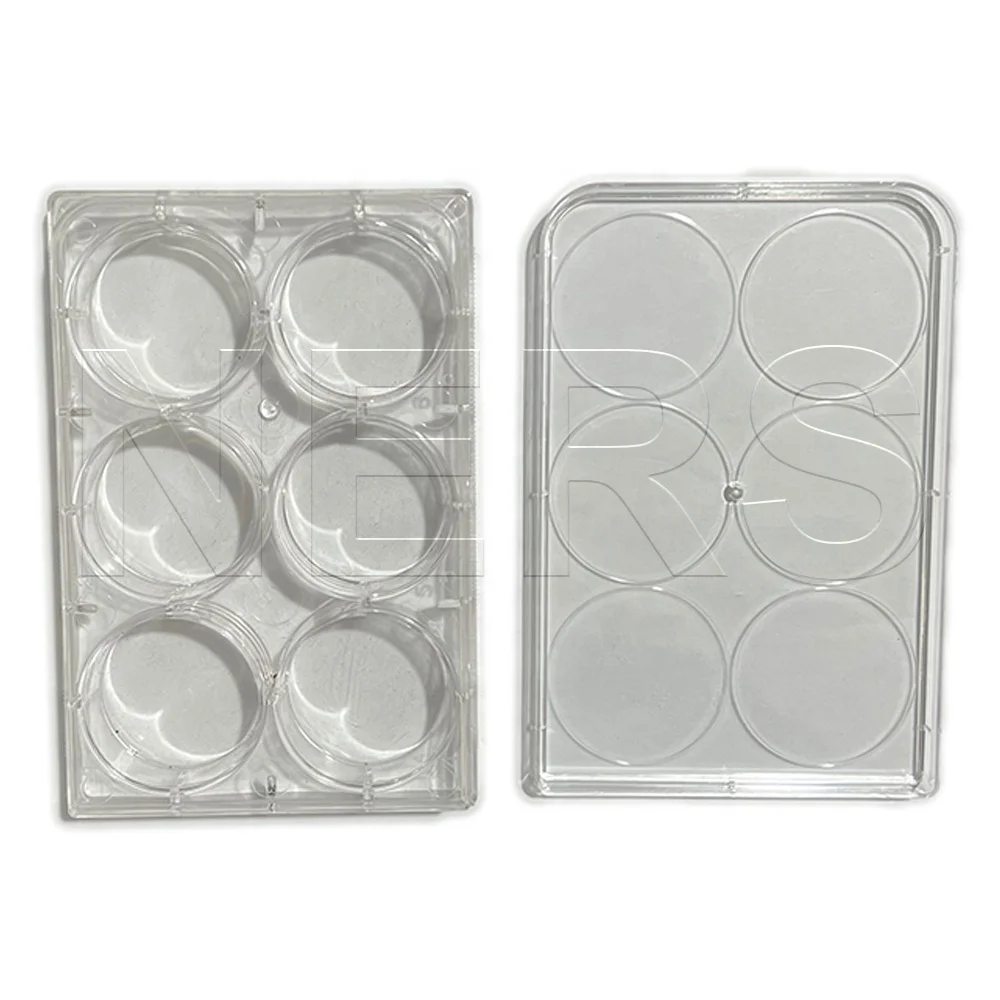 NERS Biological School Experiment Tools Clear Rectangular Plastic Reaction Plate with 6 Wells