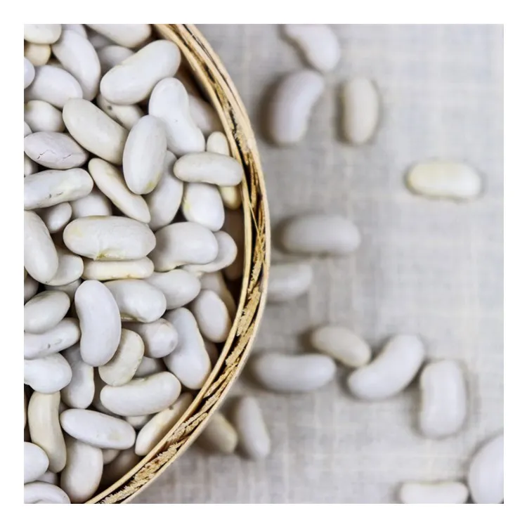 
new crop good price white kidney beans 