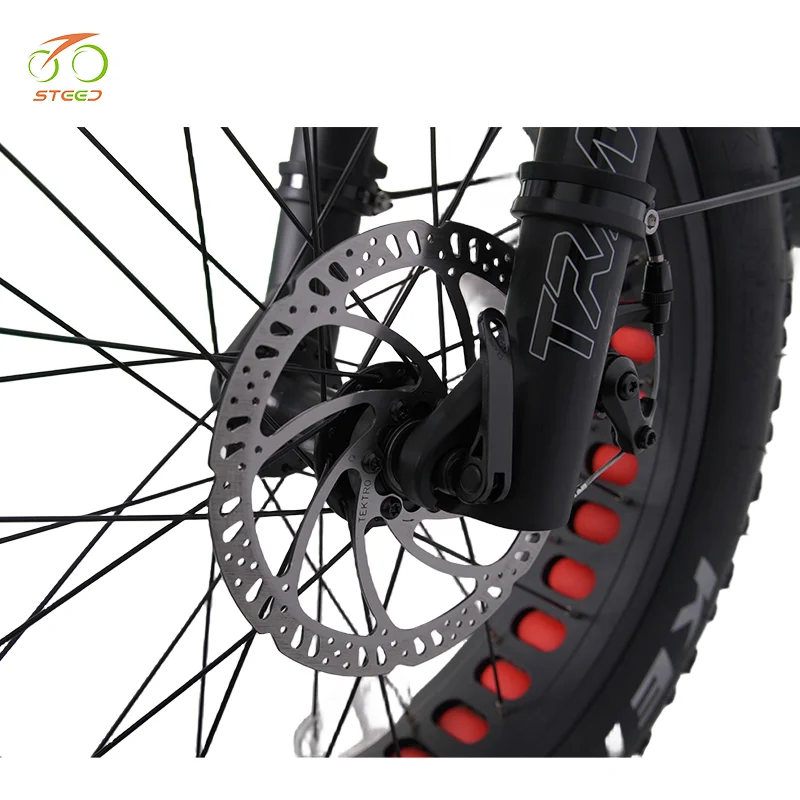Steed e bikes rear 48v 1000w electric bicycle powerful 20 inch fat bike electric wheel