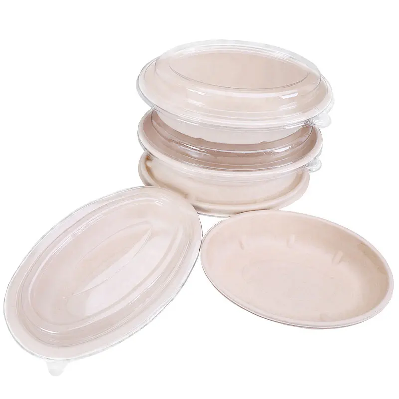 Biodegradable Sugarcane Pulp Take Out Salad Microwavable Oval Bagasse Food Containers Disposable Tableware