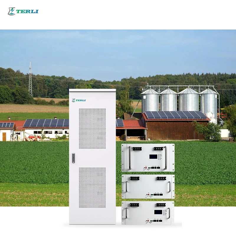 Terli Deep Cycle Long Life Lifepo4 Server Rack Battery 48v 100ah 200ah Lituium Ion Battery