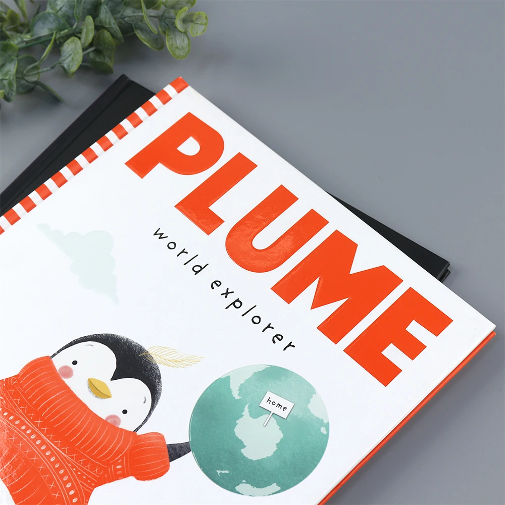Custom Hardcover Photo Publishing Book Printing Picture Book Printing Service