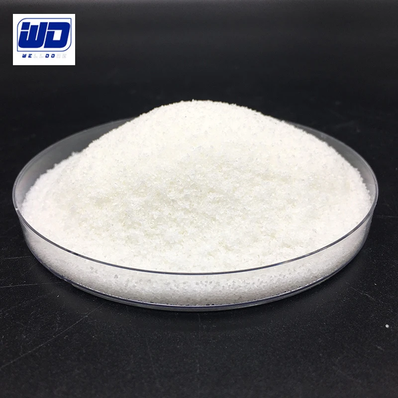 WELLDONE Polyacrylamide for Paper Anionic Cationic Polyacrylamide (pam) Industrial Grade 99-100% Polyacrylic Amide