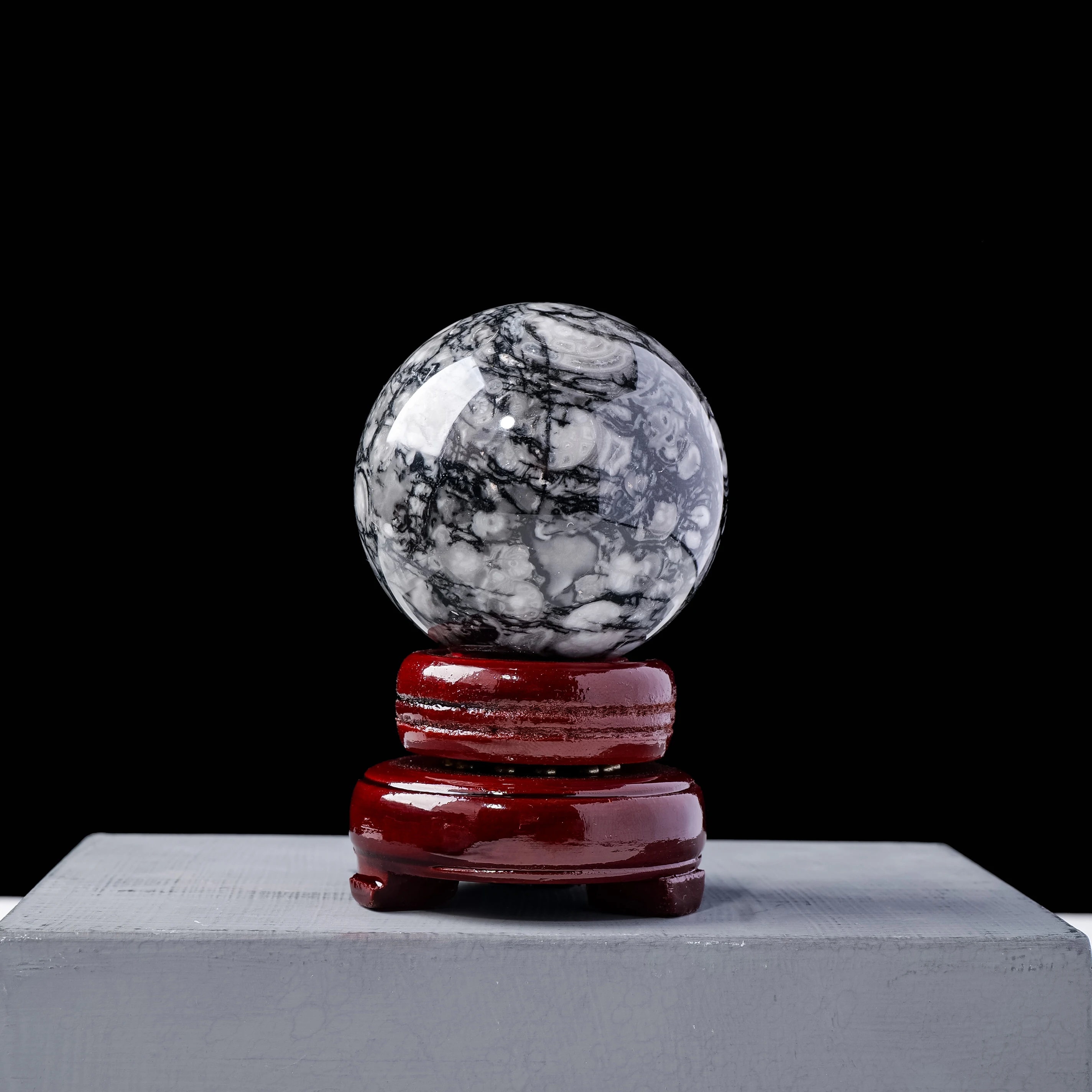 Wholesale Natural Healing Crystal Ball Polished Orthoceras Fossil Sphere For Souvenir Gift