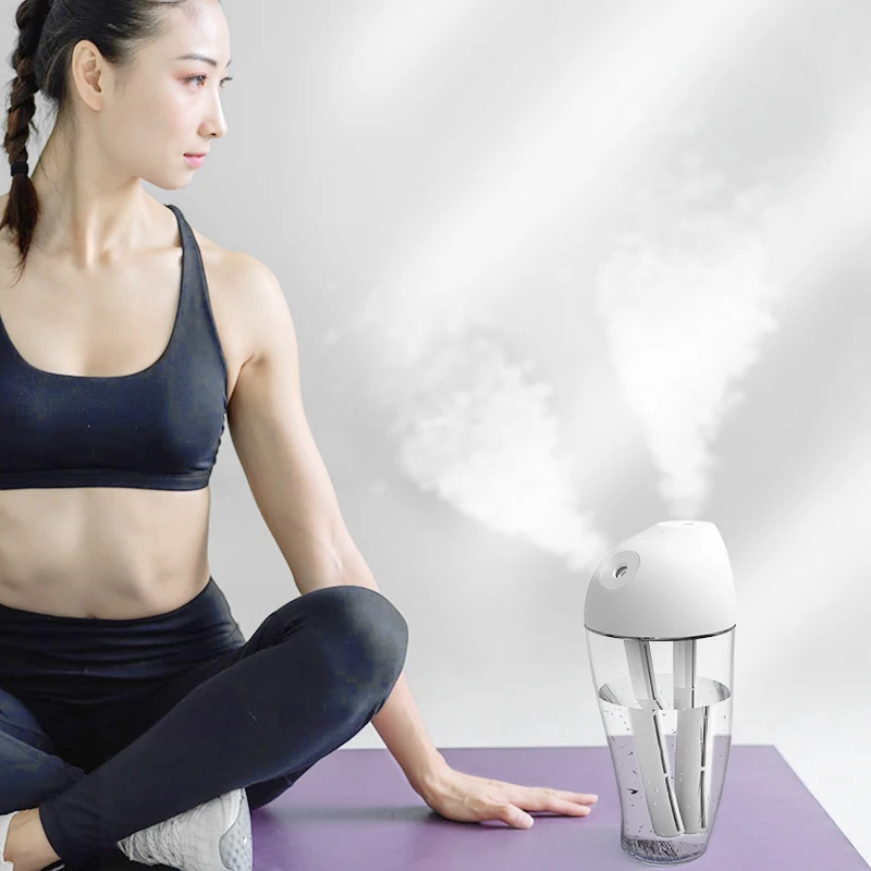 2023 New Arrival Mini Cute Portable Diffuser Double Mist USB Mini Air Humidifier