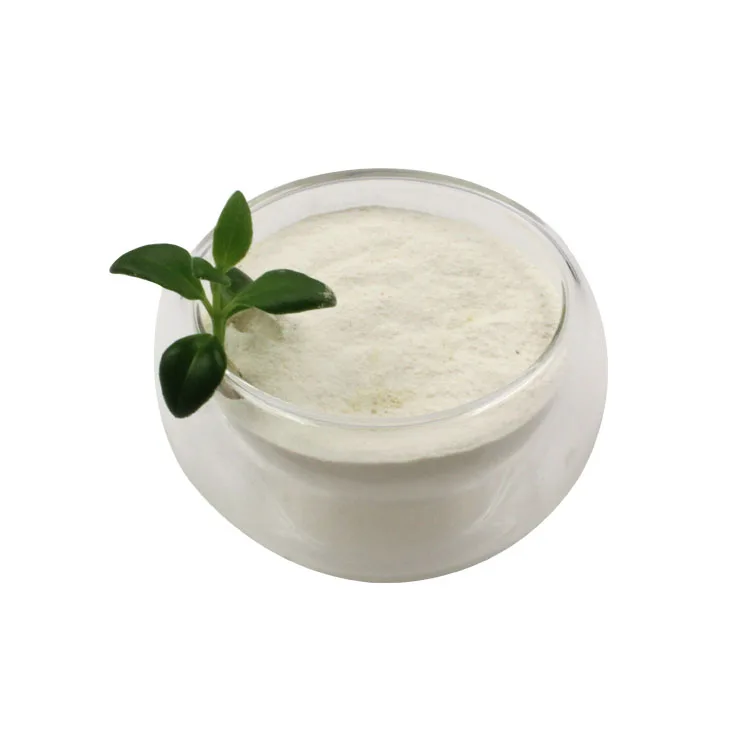 Хорошие пробиотики 10B cfu/g порошок Lactobacillus Paracasei