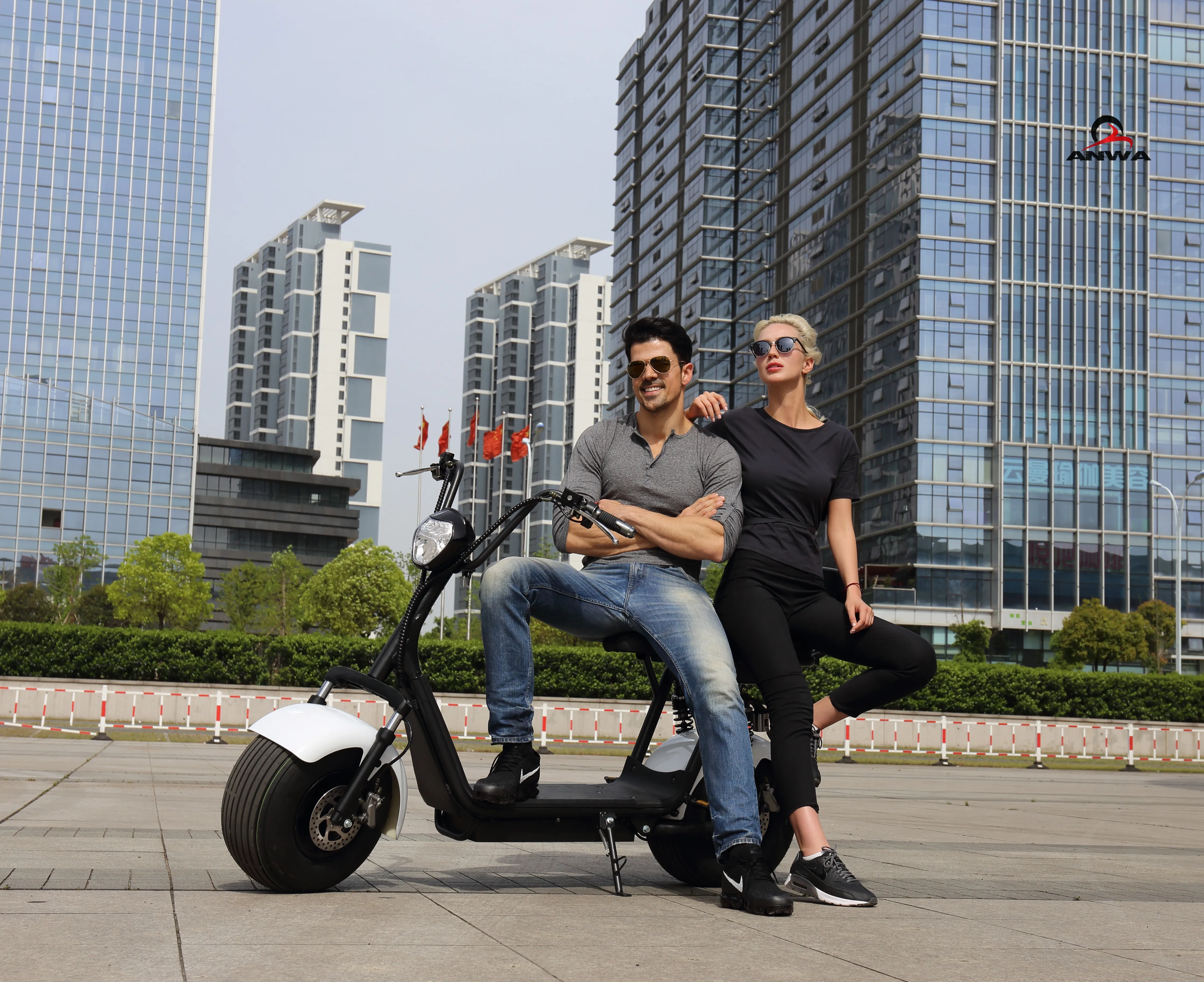 Newest Electric Scooter Parts 1000w Citycoco 60v/12Ah Fast Electric Motorcycle