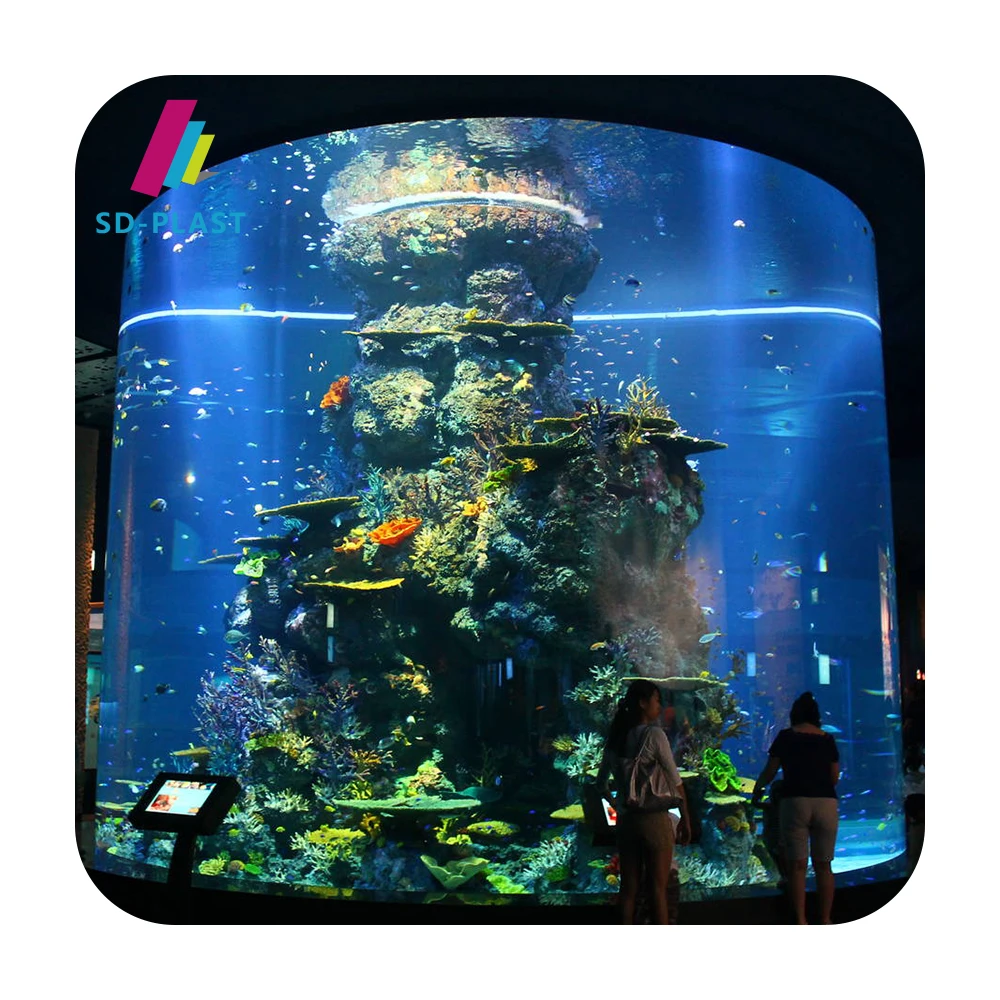 Customized acrylic fish tank aquarium large diameter acrylic tube for aquarium