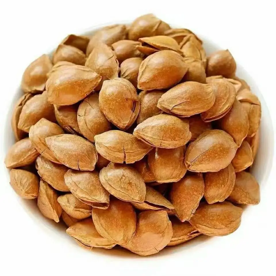 Apricot Kernels with Stone Removed Delicious Nuts for Snacking or Cooking