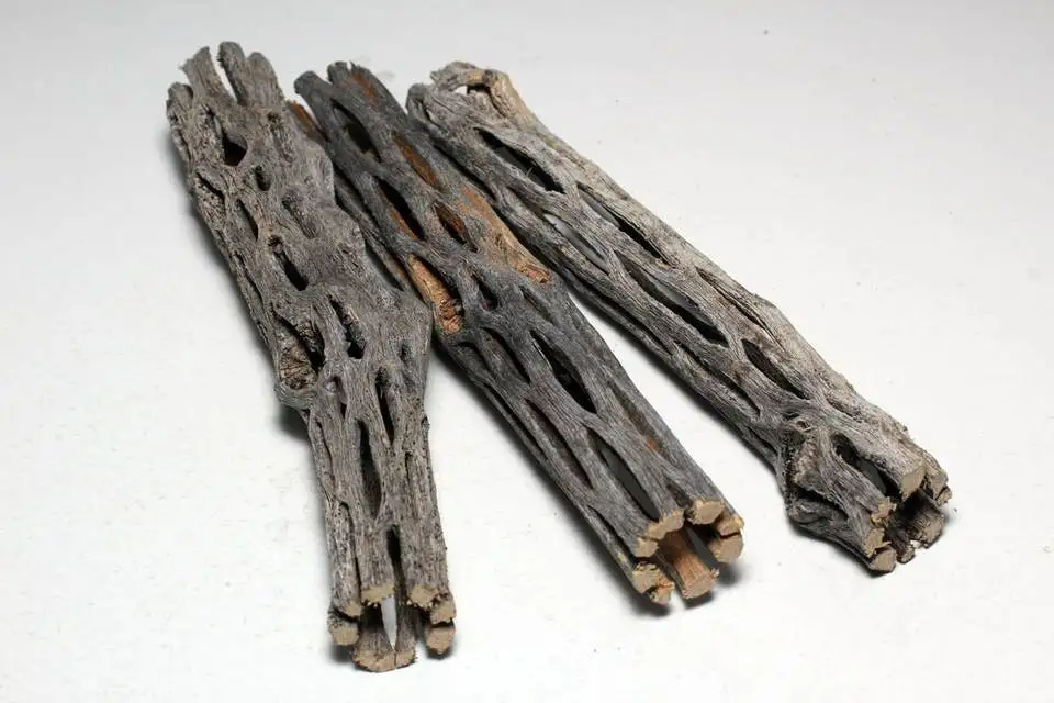 Aquarium Accessories Porous Driftwood Shrimp Reptile Shelter Cholla Wood