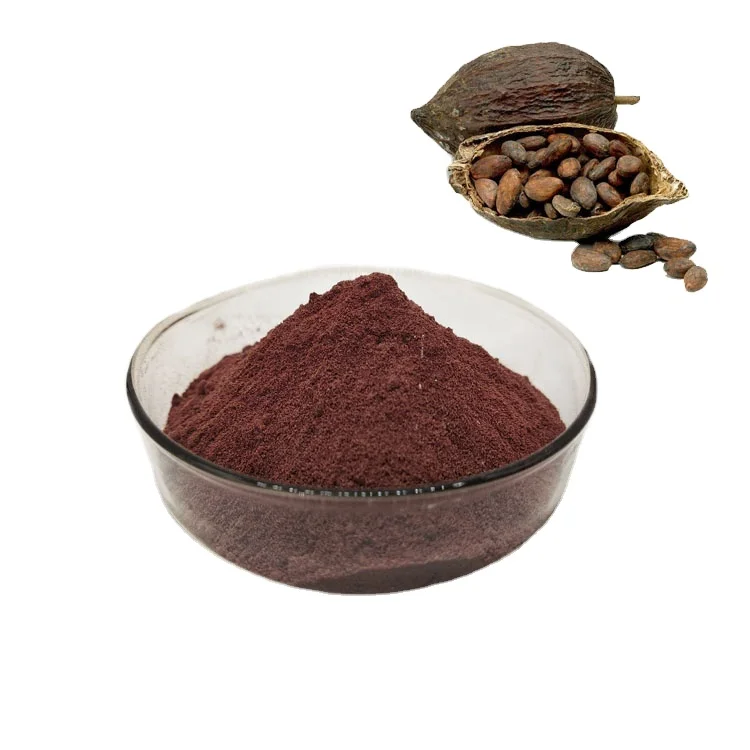 BCI Supply Best Price 100% Natural Organic Cocoa Powder