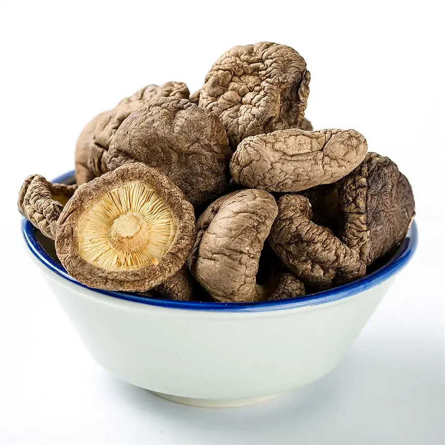 Wholesale supply of origin quality natural plant shiitake mushroom extract