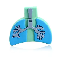 Cartoon Viscera Heart Lung Liver  Usb Flash Drive 2.0 3.0  64gb 32gb 16gb 8gb 4gb Cardiac Usb Stick  Human Organ Pen Drive