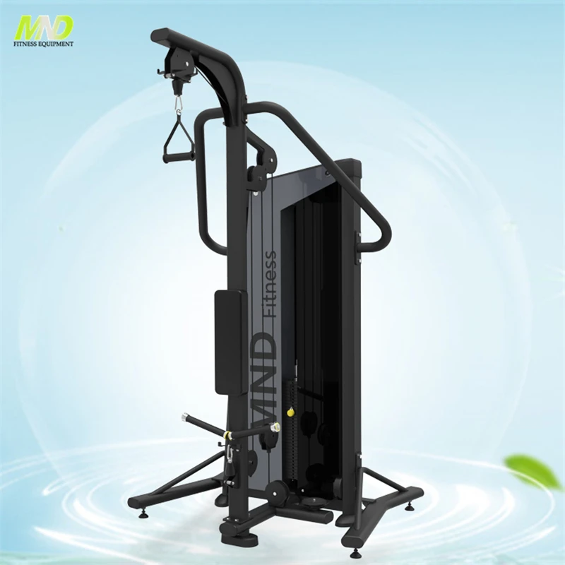 2 in 1 Commerical Gym Equipment Biceps/Triceps Machine