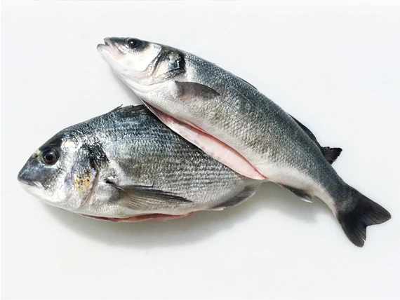 
Sea Bream whole / Fillet / Fresh 