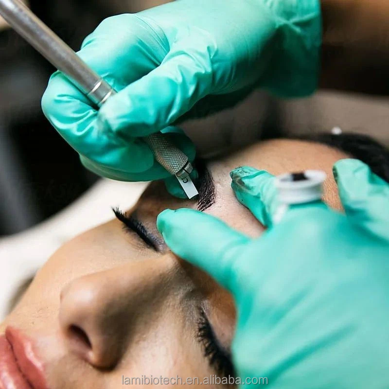 Lami semi Permanent Lips and Brow Pigment High Retention Eyebrow organic ink private label free sample OEM