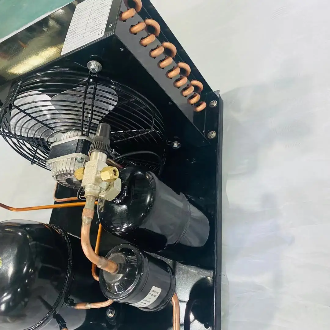 12V/24V DC Freezer condensing unit with various brand compressor