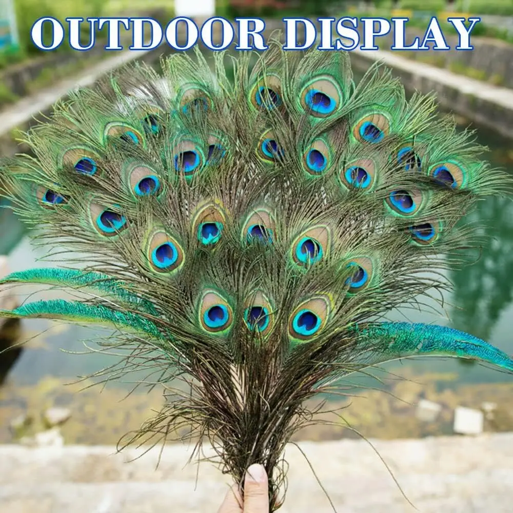 High Quality Long Peacock Feathers 40-50cm Natural Peacock Eye Feathers For DIY Craft and Home Decoration