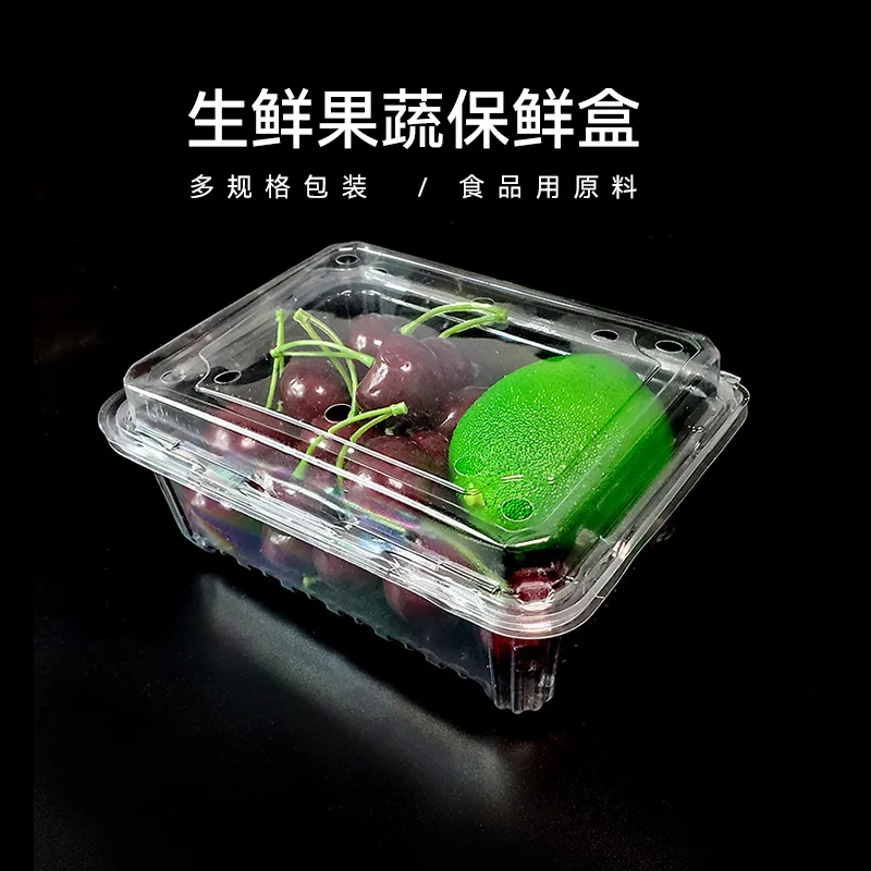 Recyclable Disposables Clear RPET Plastic Fruit Container Food Container