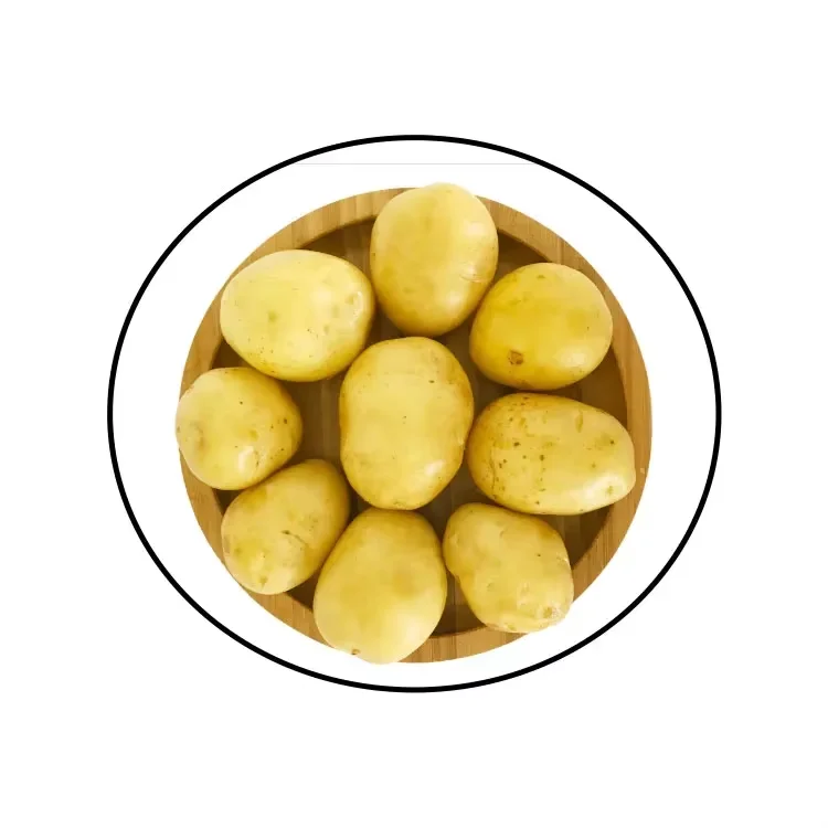 fresh new crop chinese High quality 100% Organic fresh Potatoes