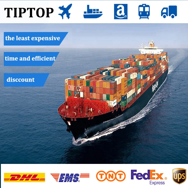 Cheapest Sea Shipping Agent From China To Canada / USA / UK / UAE / Spain Cargo Shipping Service