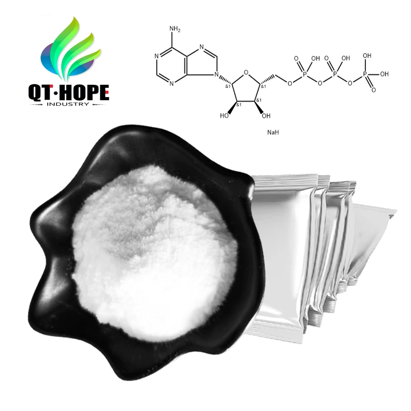 Top quality Adenosine Triphosphate Disodium ATP powder