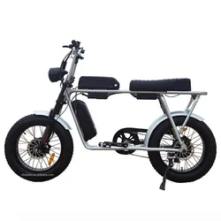 Fast Delivery 20Inch Electric Fat Tire Bike 750W Bafang Rear Motor Snow Beach Super Ebike Electric Bicycles 73