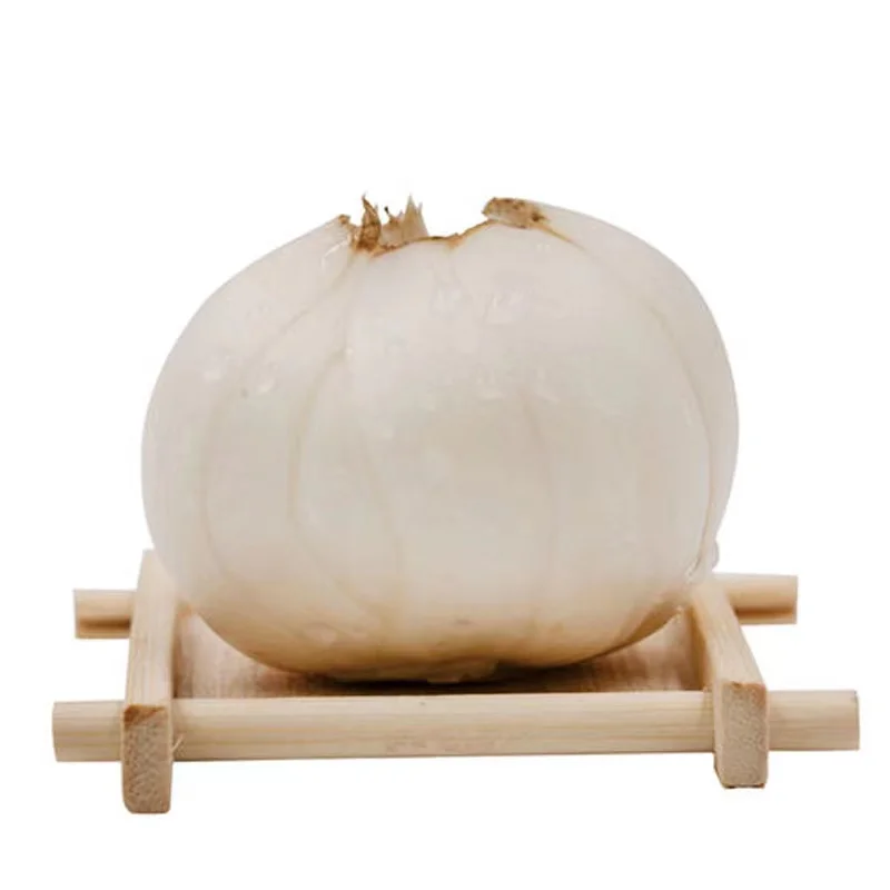 
New original factory sale lily bulbs lilium for baby good price 