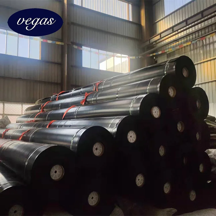 Fish Pond Farming Tank Cheap Pond Liner 30 Mil Hdpe Liner Cost Large Preformed Ponds Hdpe Geomembrane Liner