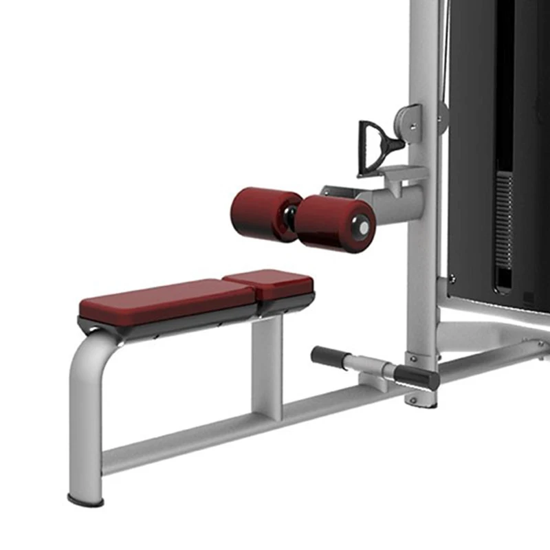 Home & Gym Use Lat Pulldown & Low Row