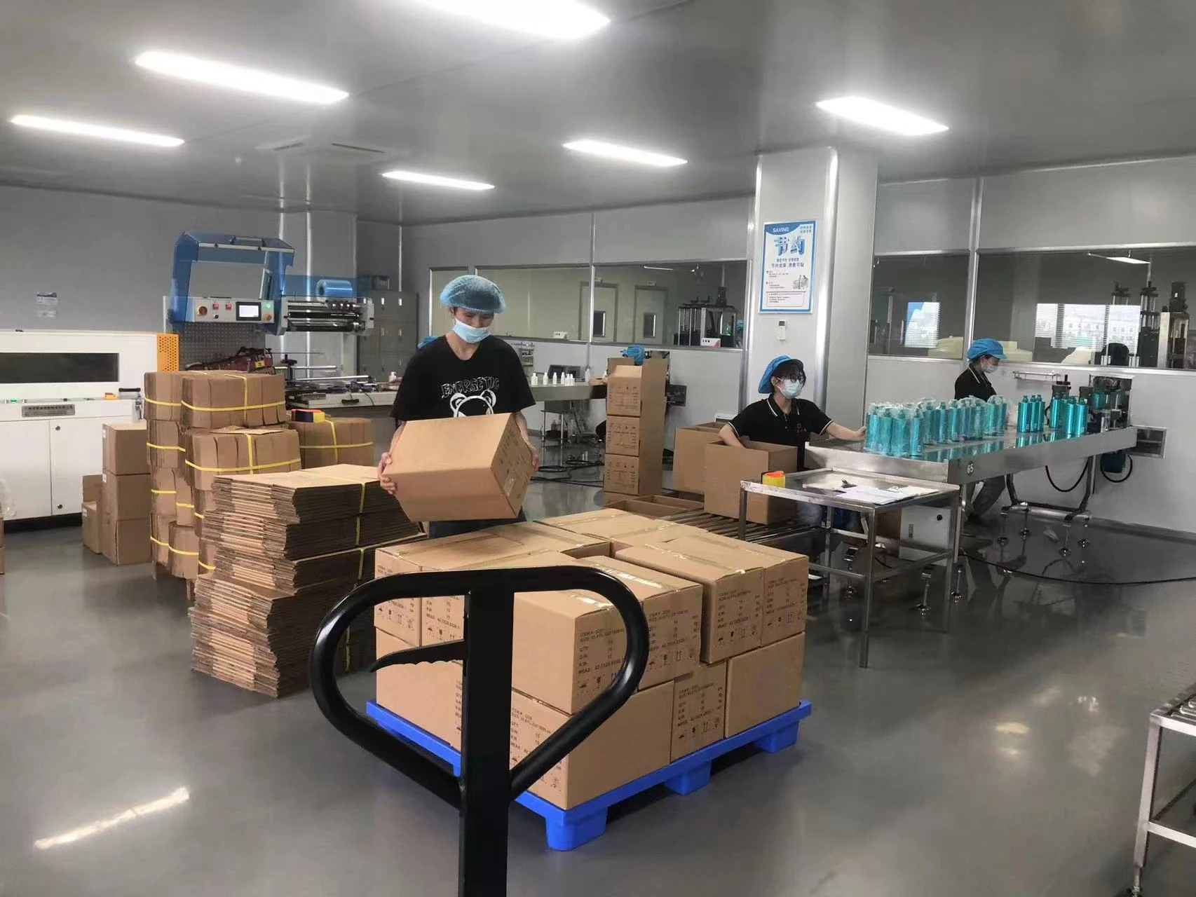 customized professional coconut manufacture herbal collagen anti dandruff ginger kids and conditioner shampoo