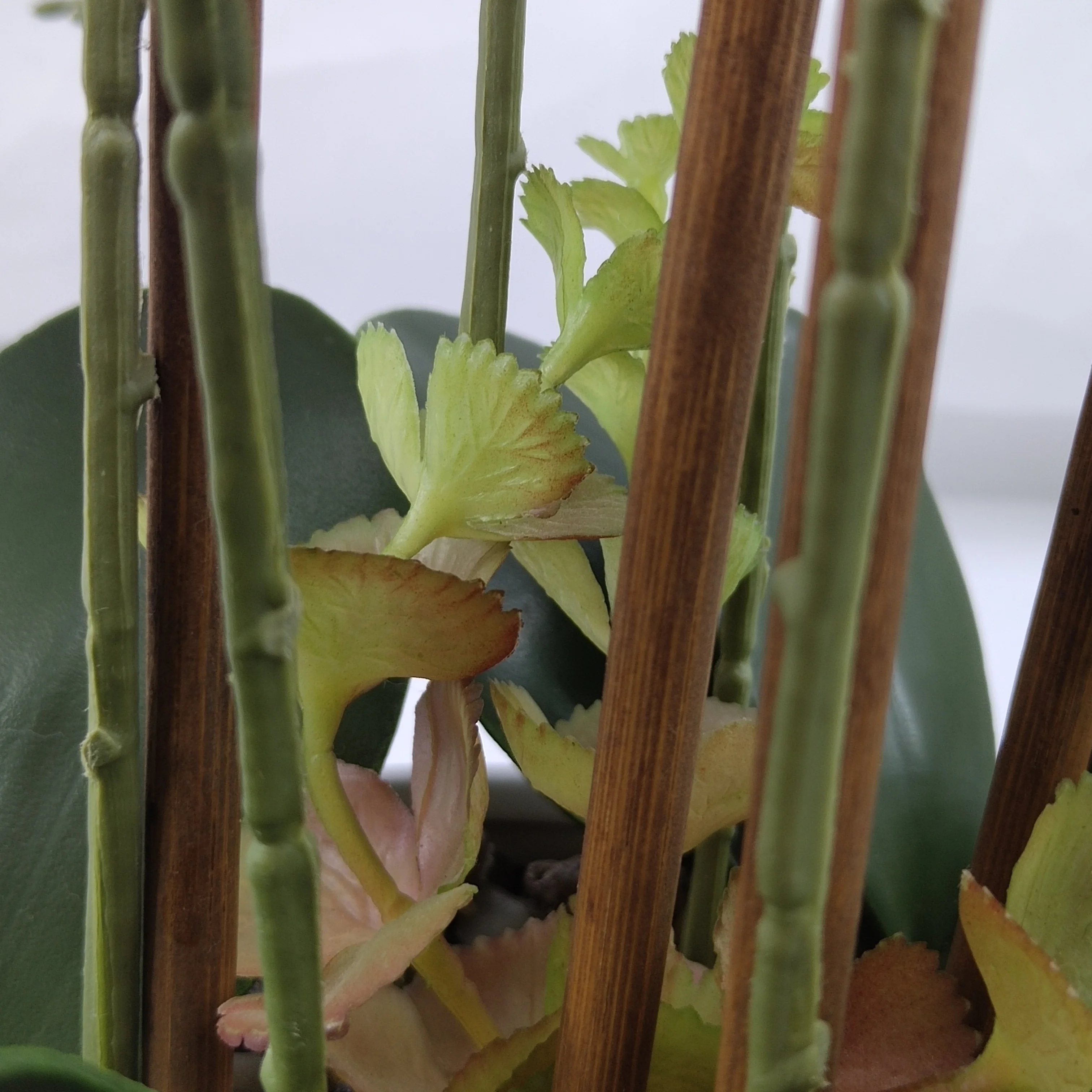 Wholesale Dendrobium Cattleya Orchid Plants Silk Preserved White Phalaenopsis Orchid Pot Artificial Orchid In The Pot