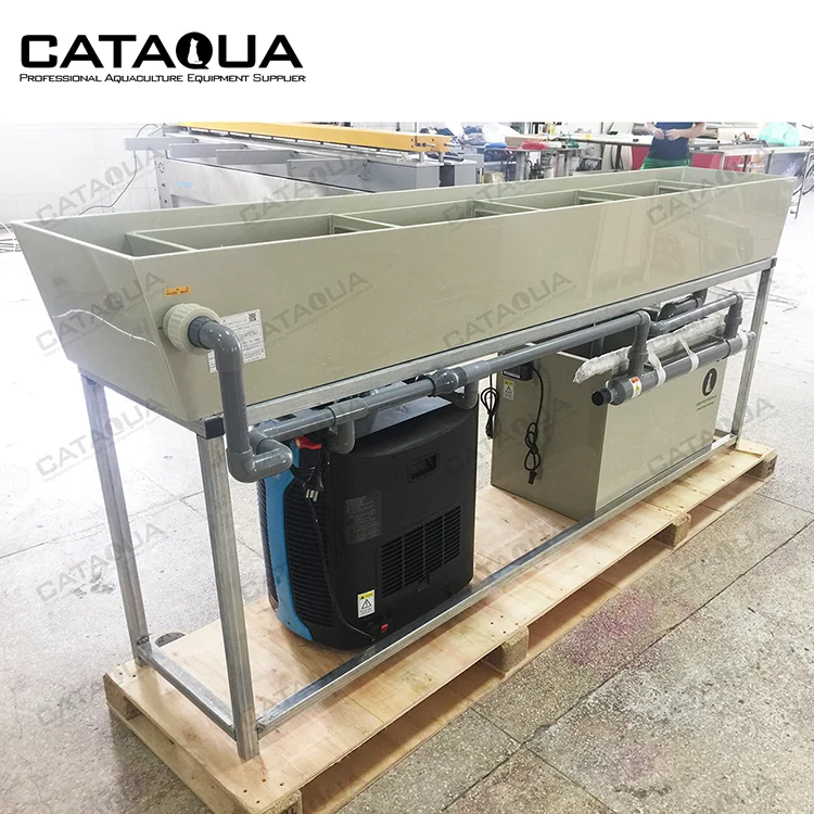 CATAQUA Brine Shrimp Egg Hatchery Incubator Aquariums  Automatic Fish Egg Hatchery