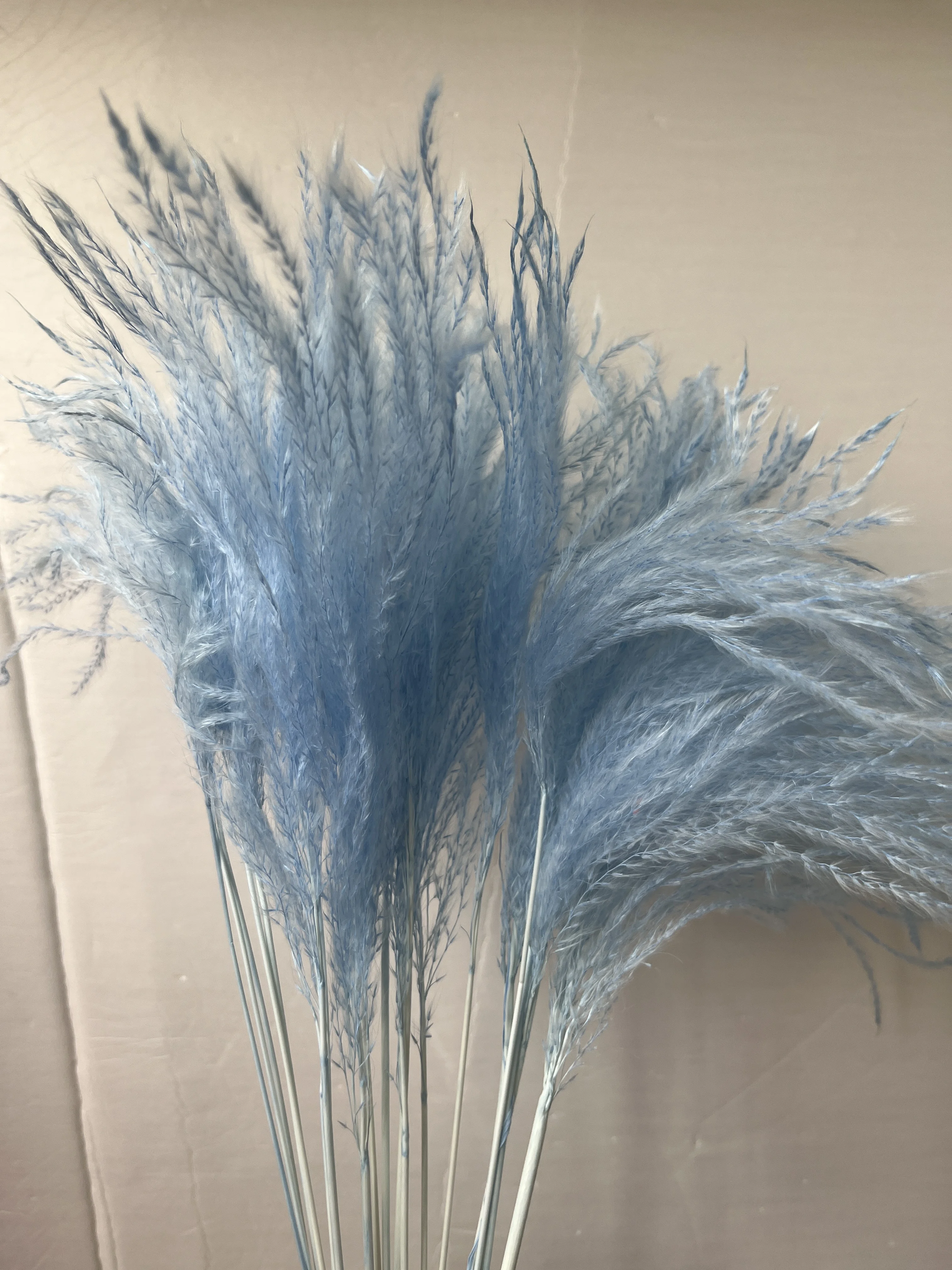 Factory Wholesale Feather Grass Dried Flower Bouquet Home Decoration Flowers