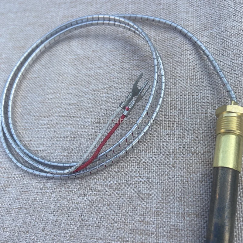 Napolean Gas Fireplace Thermopile