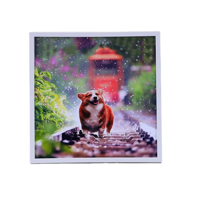 Подгонянная дешевая легкая пластиковая художественная фоторамка