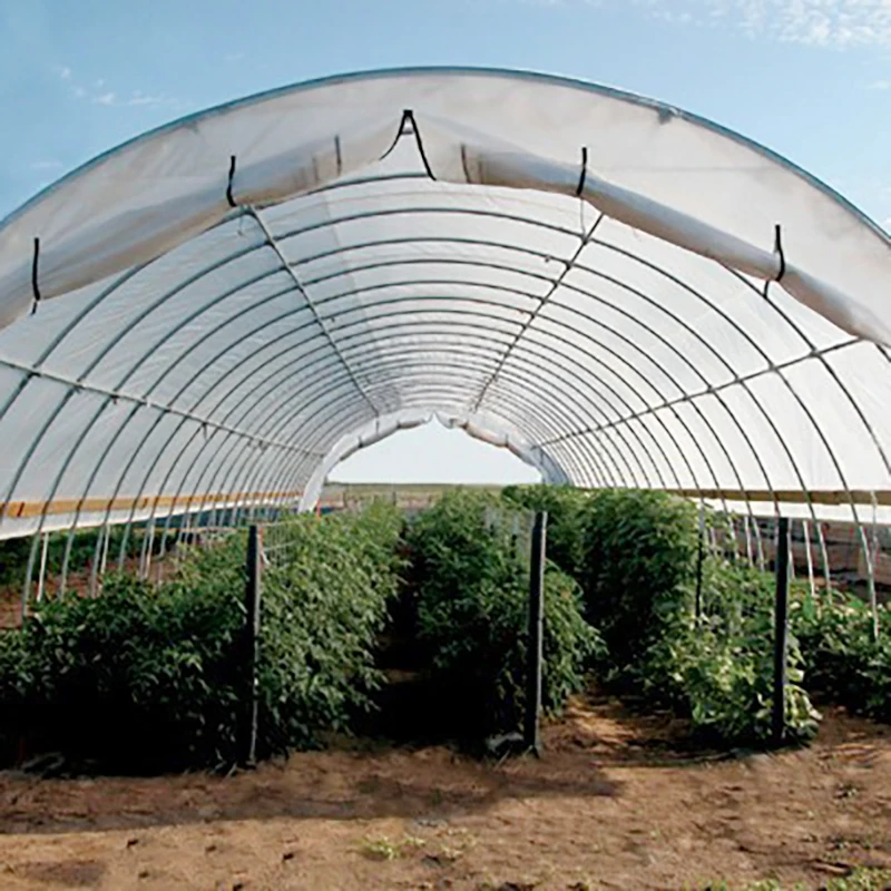 Agricultural Commercial Greenhouse Cheapest Plastic Tunnel Greenhouse For Sale