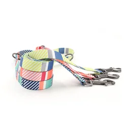 Puppy multi stripes step in sublimation designers dog harness and leash set