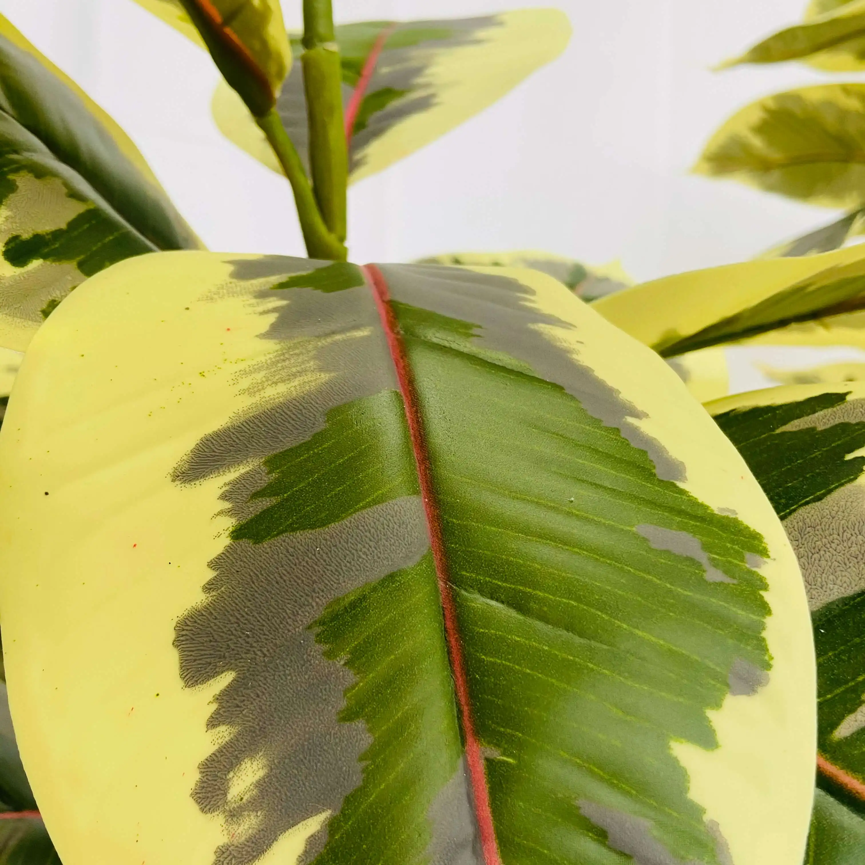 New product 80cm artificial Oak Ficus tree in pot for indoor office home garden decoration