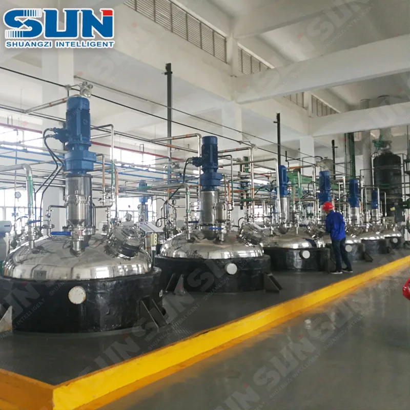 Traditional Chinese Herb Chemical Reactor