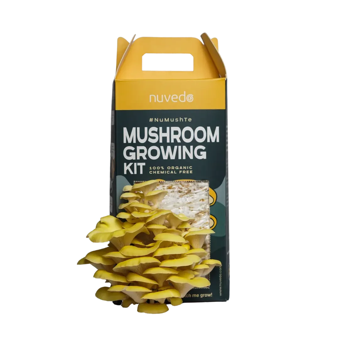 Набор инструментов для сада и овощей The Three Mush-keteers Bundle