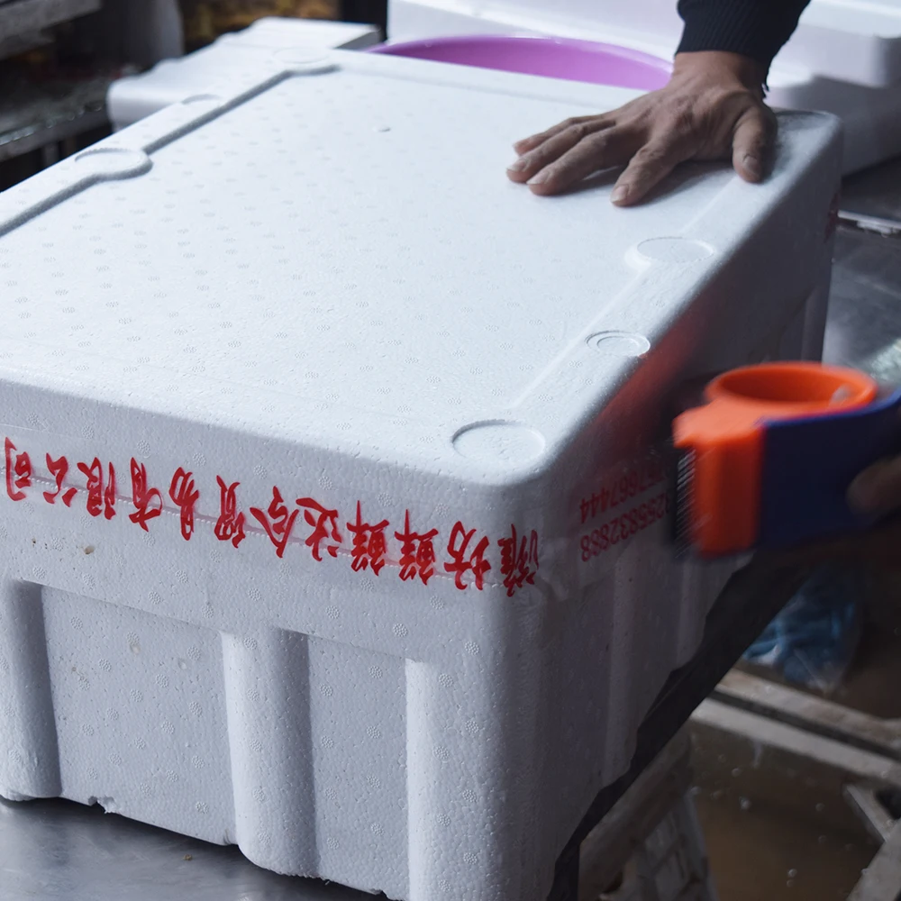 
Wholesale Pure Natural Grown Green Scallions With Competitive Price 