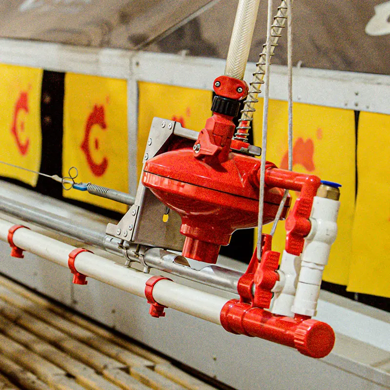 Automatic bell chicken drinking system chicken feeder and drinker